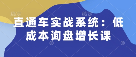 直通车实战系统：低成本询盘增长课插图